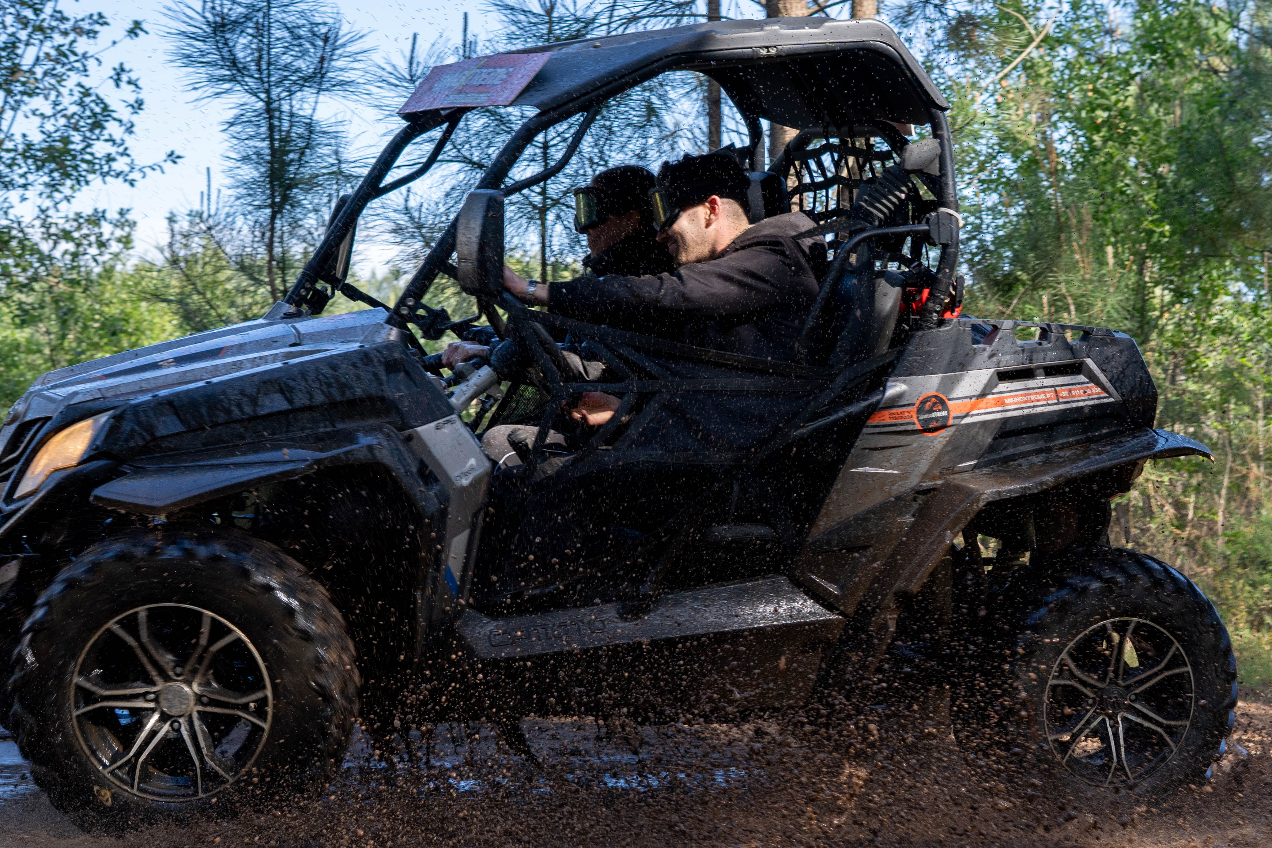Buggy 6